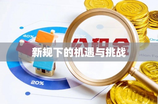 双台子新规下的机遇与挑战