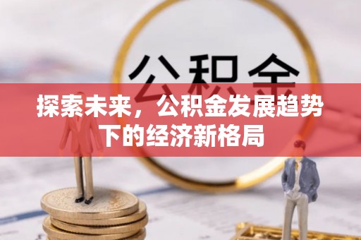 双台子探索未来，公积金发展趋势下的经济新格局