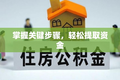 双台子掌握关键步骤，轻松提取资金