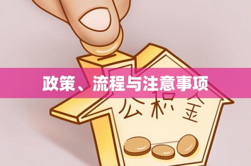 双台子政策、流程与注意事项