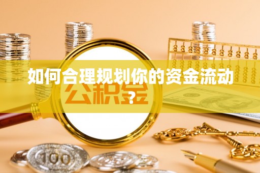 双台子如何合理规划你的资金流动？