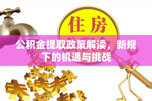 双台子公积金提取政策解读，新规下的机遇与挑战