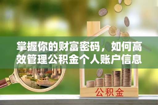 双台子掌握你的财富密码，如何高效管理公积金个人账户信息