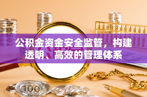 双台子公积金资金安全监管，构建透明、高效的管理体系
