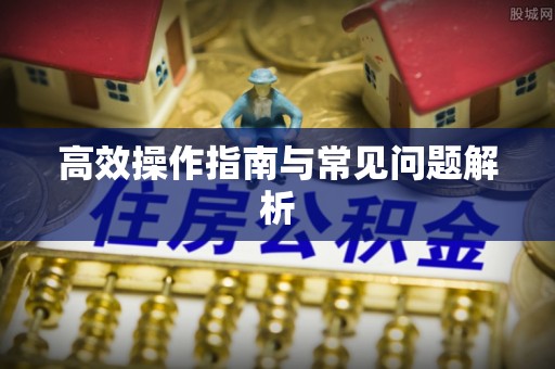 双台子高效操作指南与常见问题解析
