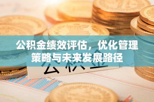 双台子公积金绩效评估，优化管理策略与未来发展路径