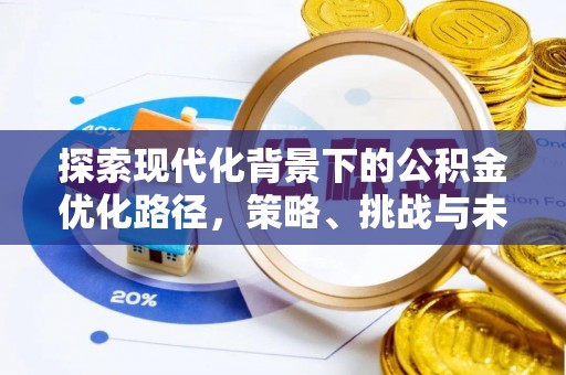 双台子探索现代化背景下的公积金优化路径，策略、挑战与未来展望