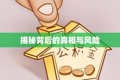 双台子揭秘背后的真相与风险