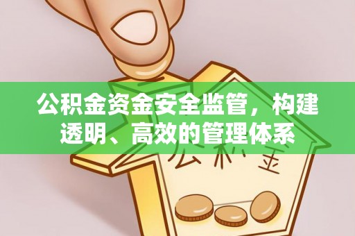 双台子公积金资金安全监管，构建透明、高效的管理体系