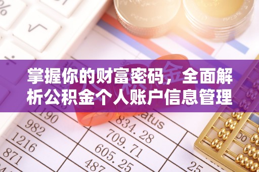 双台子掌握你的财富密码，全面解析公积金个人账户信息管理