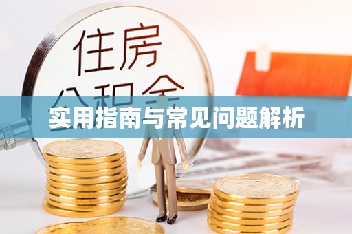 双台子实用指南与常见问题解析