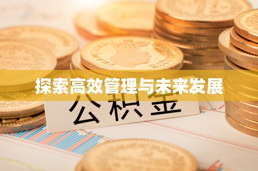 双台子探索高效管理与未来发展