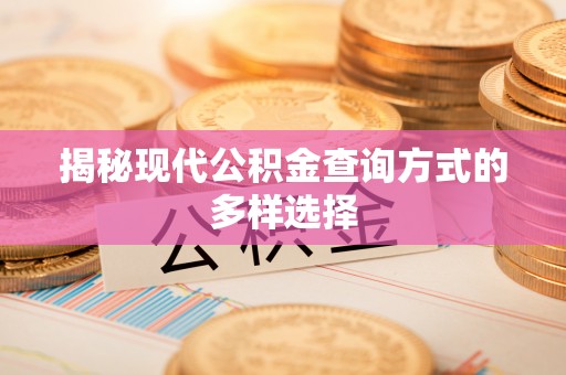 双台子揭秘现代公积金查询方式的多样选择