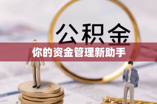 双台子你的资金管理新助手