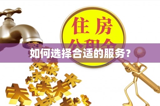 双台子如何选择合适的服务？