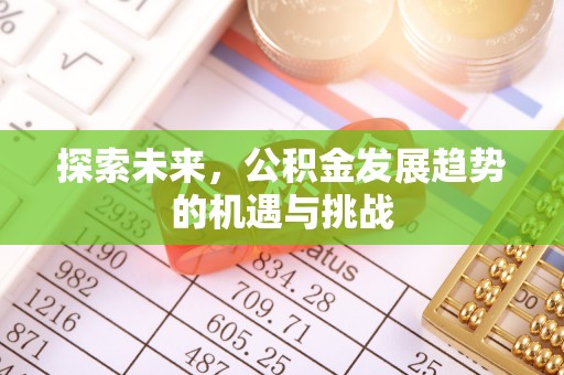 双台子探索未来，公积金发展趋势的机遇与挑战