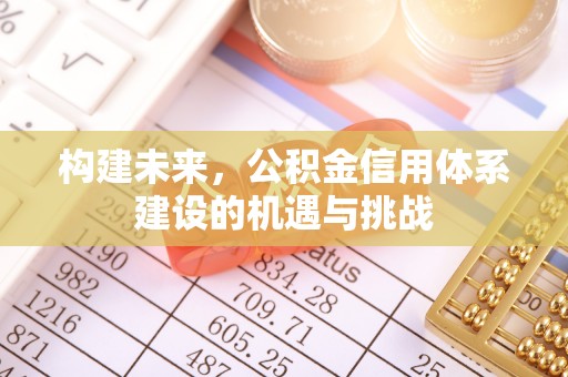 双台子构建未来，公积金信用体系建设的机遇与挑战