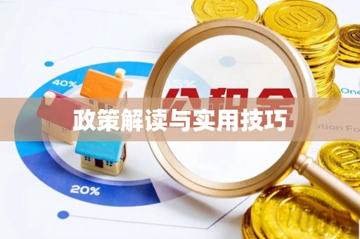 双台子政策解读与实用技巧