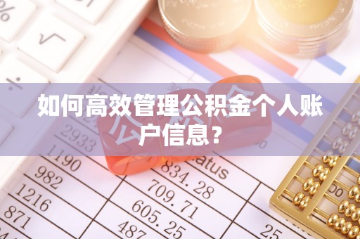 双台子如何高效管理公积金个人账户信息？