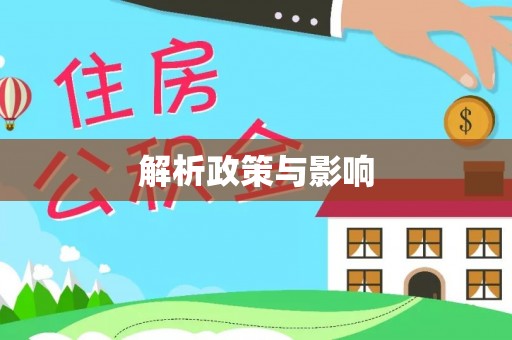 双台子解析政策与影响