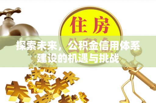 双台子探索未来，公积金信用体系建设的机遇与挑战
