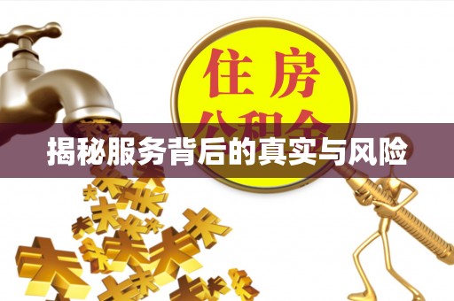双台子揭秘服务背后的真实与风险