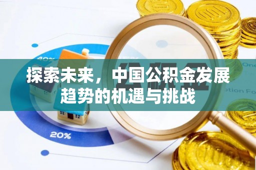 双台子探索未来，中国公积金发展趋势的机遇与挑战