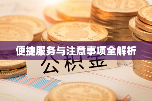 双台子便捷服务与注意事项全解析