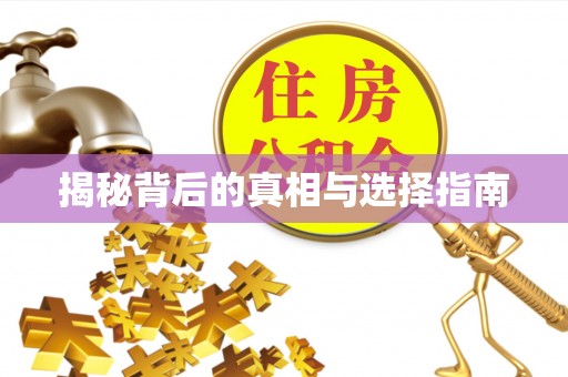 双台子揭秘背后的真相与选择指南