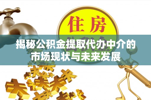 双台子揭秘公积金提取代办中介的市场现状与未来发展