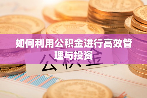 双台子如何利用公积金进行高效管理与投资