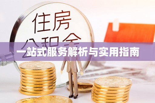 双台子一站式服务解析与实用指南