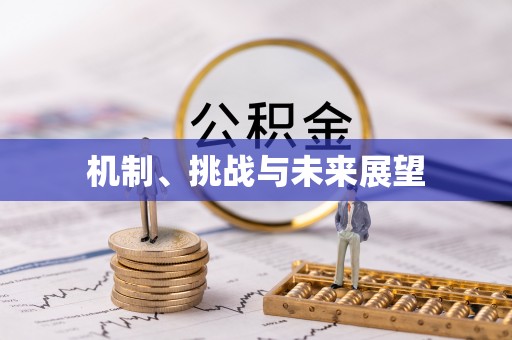 双台子机制、挑战与未来展望