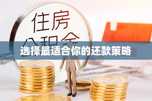 双台子选择最适合你的还款策略