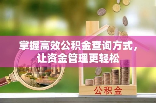 双台子掌握高效公积金查询方式，让资金管理更轻松
