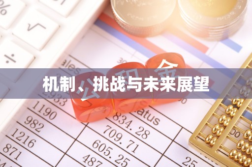 双台子机制、挑战与未来展望
