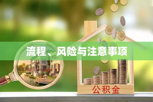 双台子流程、风险与注意事项