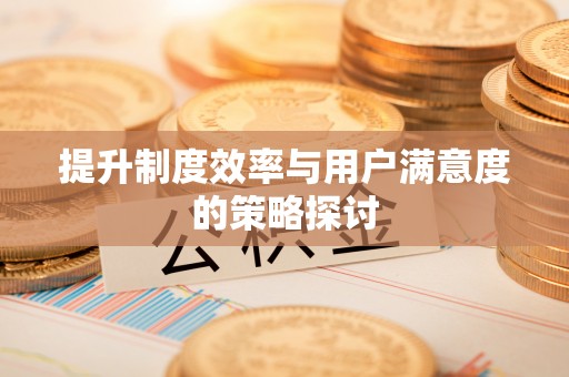 双台子提升制度效率与用户满意度的策略探讨