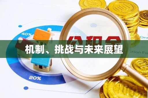 双台子机制、挑战与未来展望